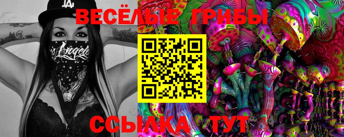 купить наркоту  Галлюциногенные грибы Magic Shrooms  Вход с VPN  Сарапул 