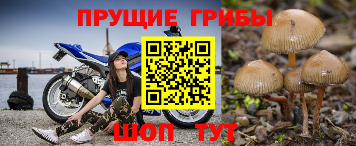 Галлюциногенные грибы GOLDEN TEACHER Сарапул